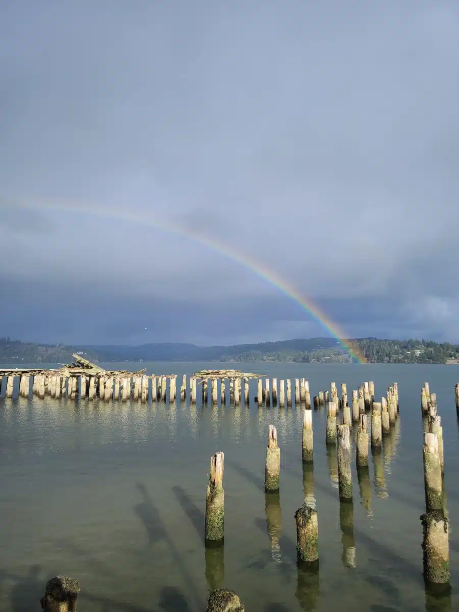 Adapt Integrated Healthcare - Thumbnail 6