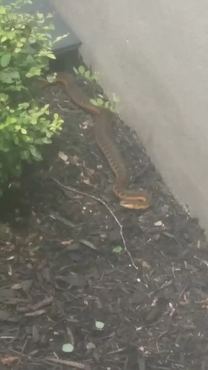 Addictions Crisis Center - Thumbnail 8