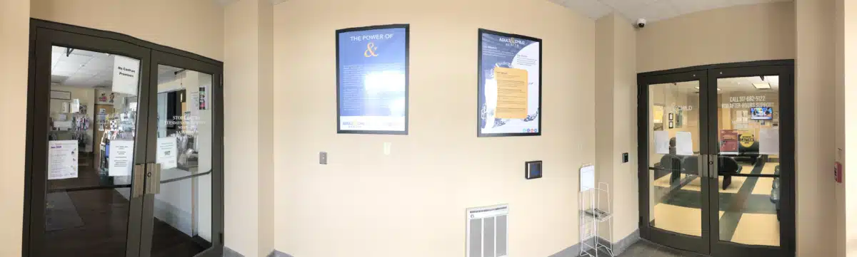 Adult and Child Health - Thumbnail 5