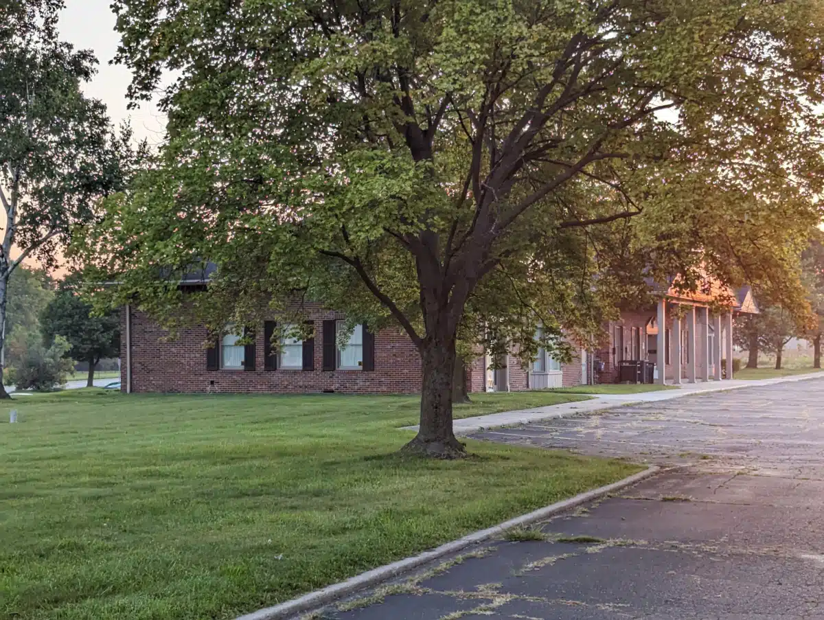 All Well Being Services - Thumbnail 4