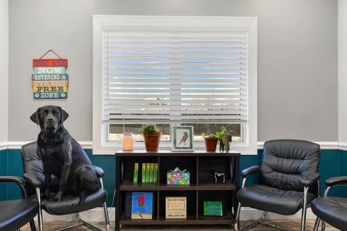 Allendale Treatment - Thumbnail 10