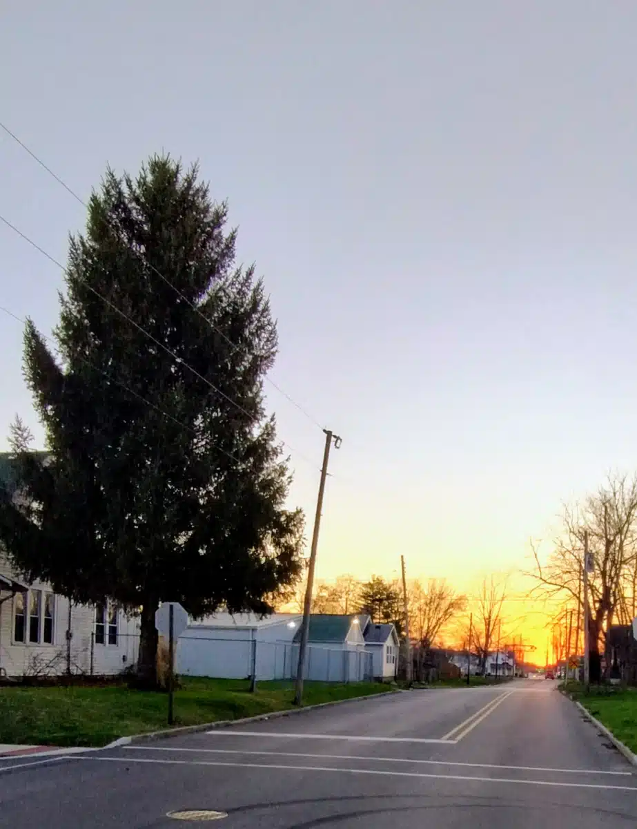 Ascension Saint Vincent - Thumbnail 5