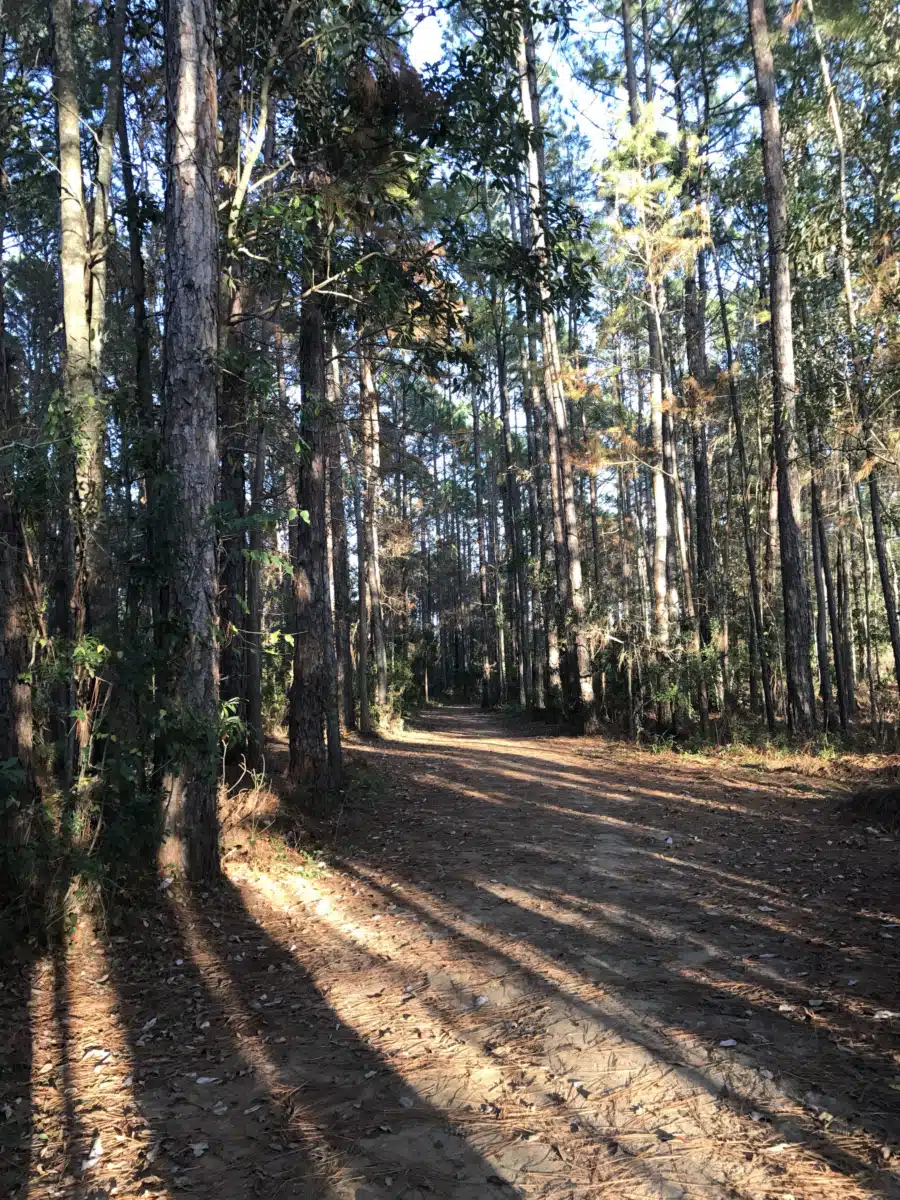 Augustine Recovery Center - Thumbnail 3