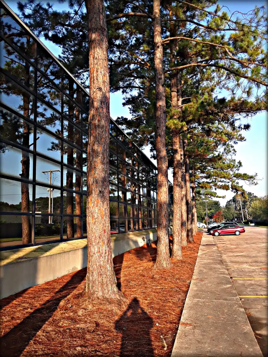 BHG Lake Charles Treatment Center - Thumbnail 2