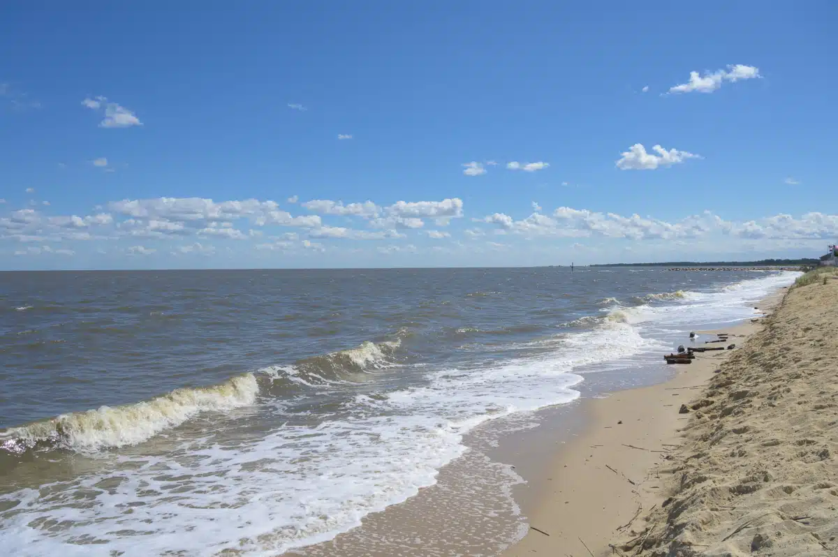 Banyan Delaware - Thumbnail 9