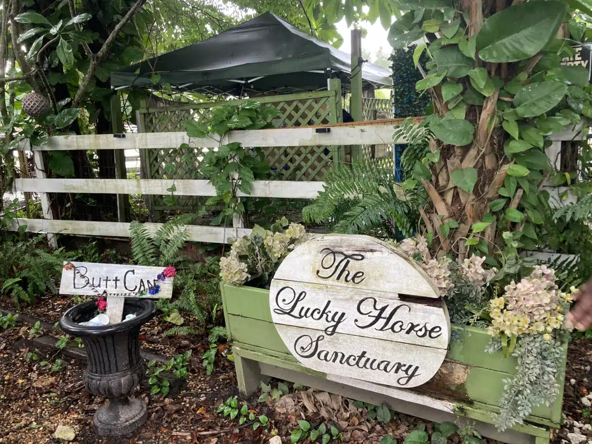 Banyan Pompano - Thumbnail 8