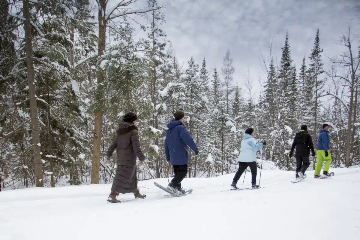 Bear River Health - Thumbnail 4