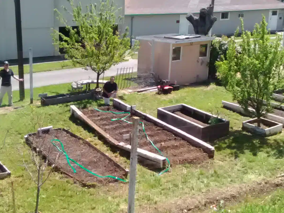 Bi Bett Corp - Thumbnail 8