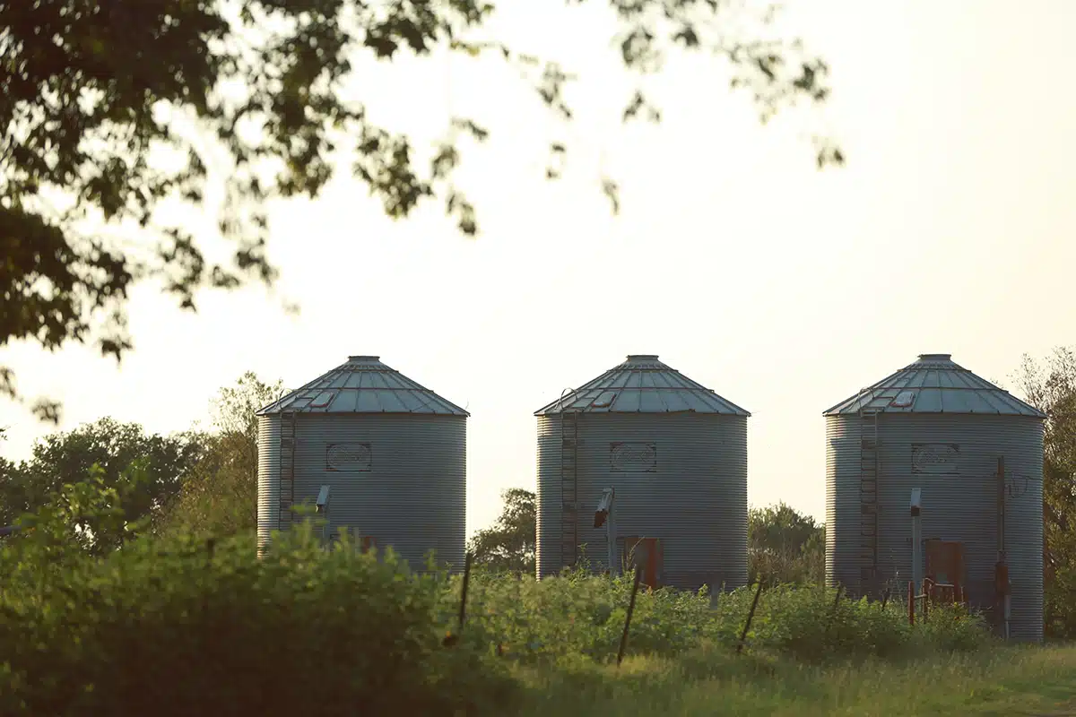 Burning Tree Recovery Ranch - Thumbnail 10