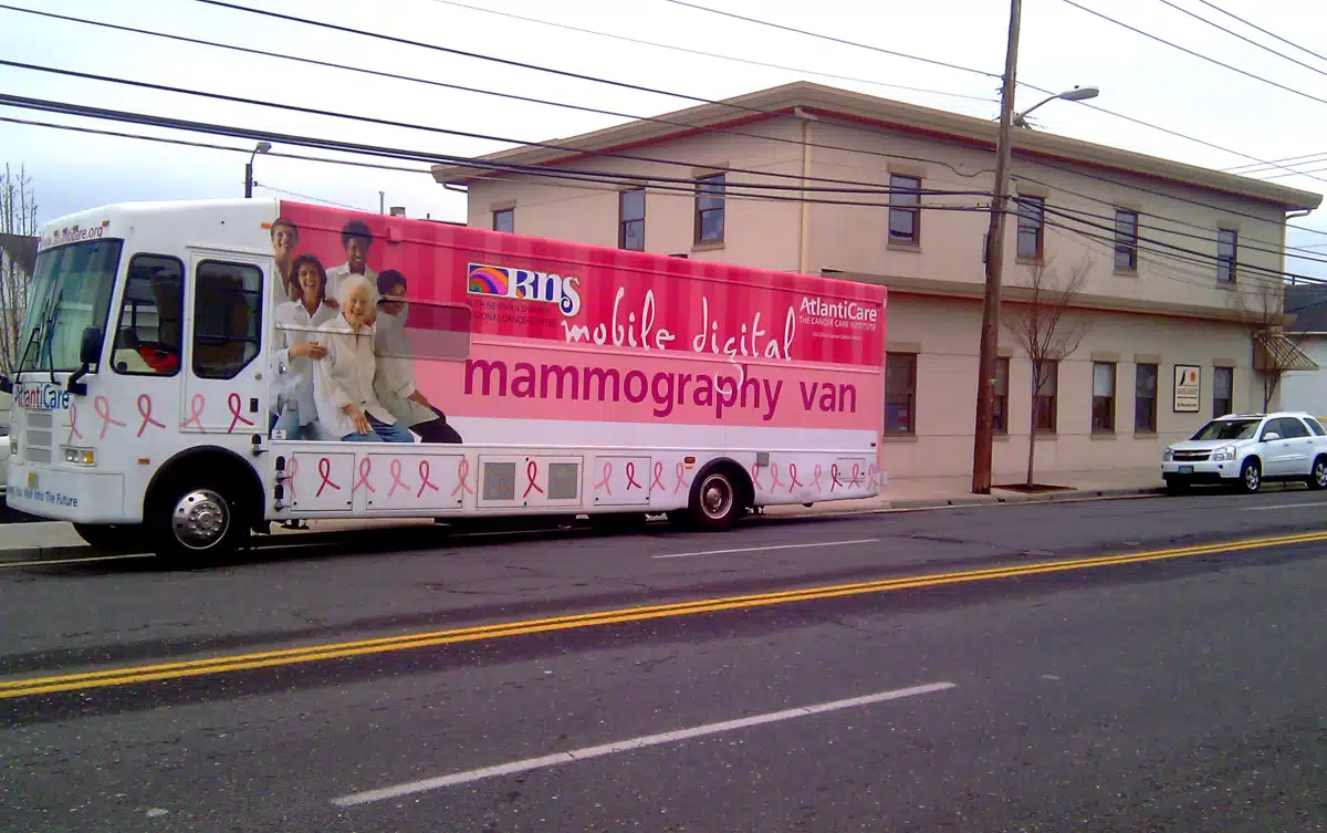 Cape Assist - Thumbnail 3