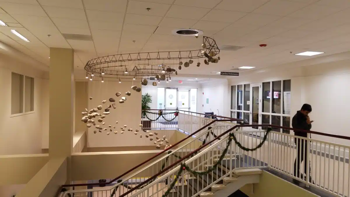 Carolina Performance - Thumbnail 4