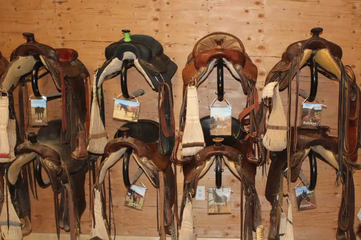 Cathedral Home for Children - Thumbnail 5