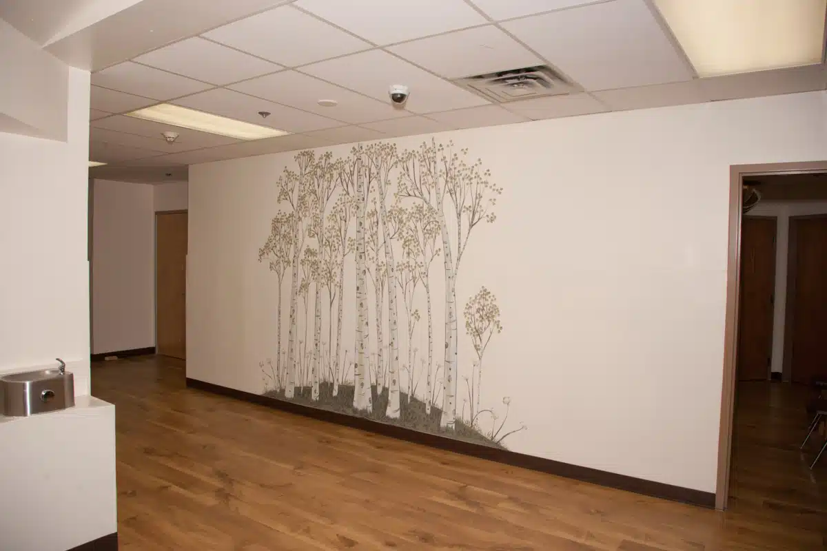 Cedar Springs Hospital - Thumbnail 8