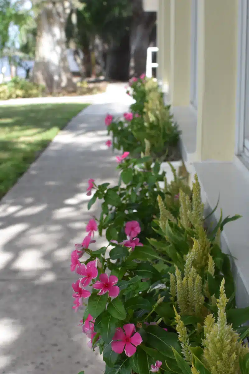 Celadon Recovery Outpatient Services - Thumbnail 10