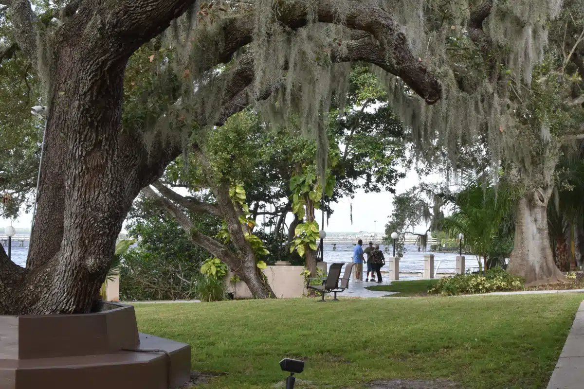 Celadon Recovery Outpatient Services - Thumbnail 9