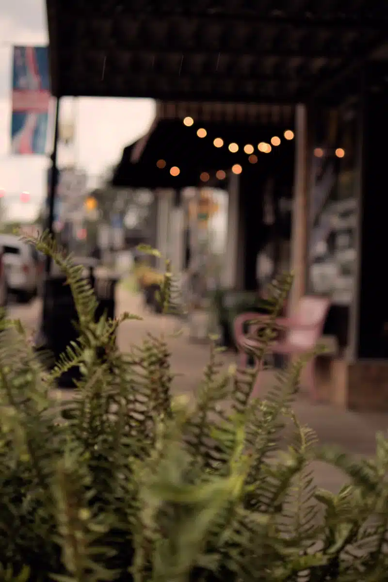 Cindy Baird DUI Services LLC - Thumbnail 3