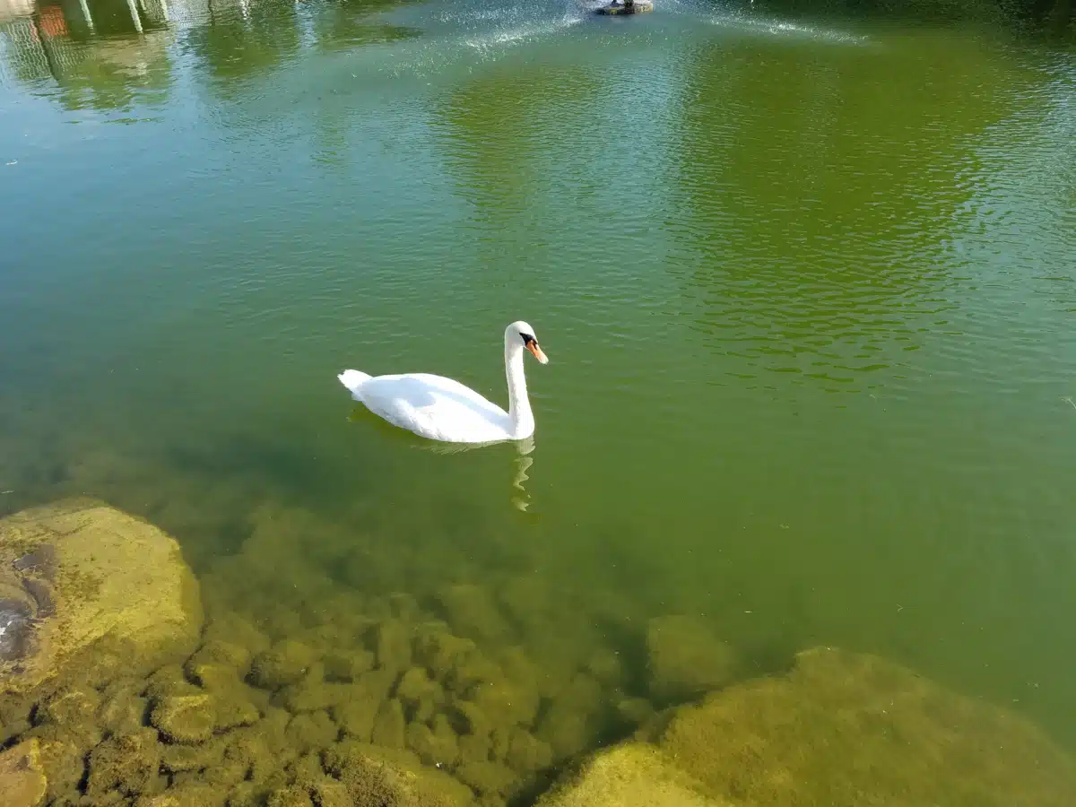 Clifton Springs Hosp Clinic - Thumbnail 3