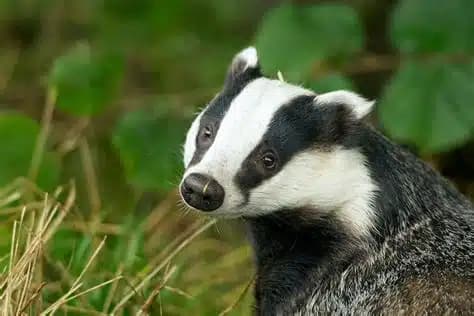 Coleman Professional Services - Thumbnail 3