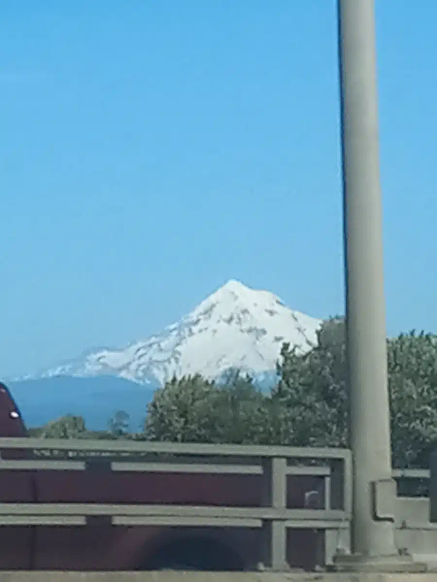 Columbia River Mental Health Services - Thumbnail 9