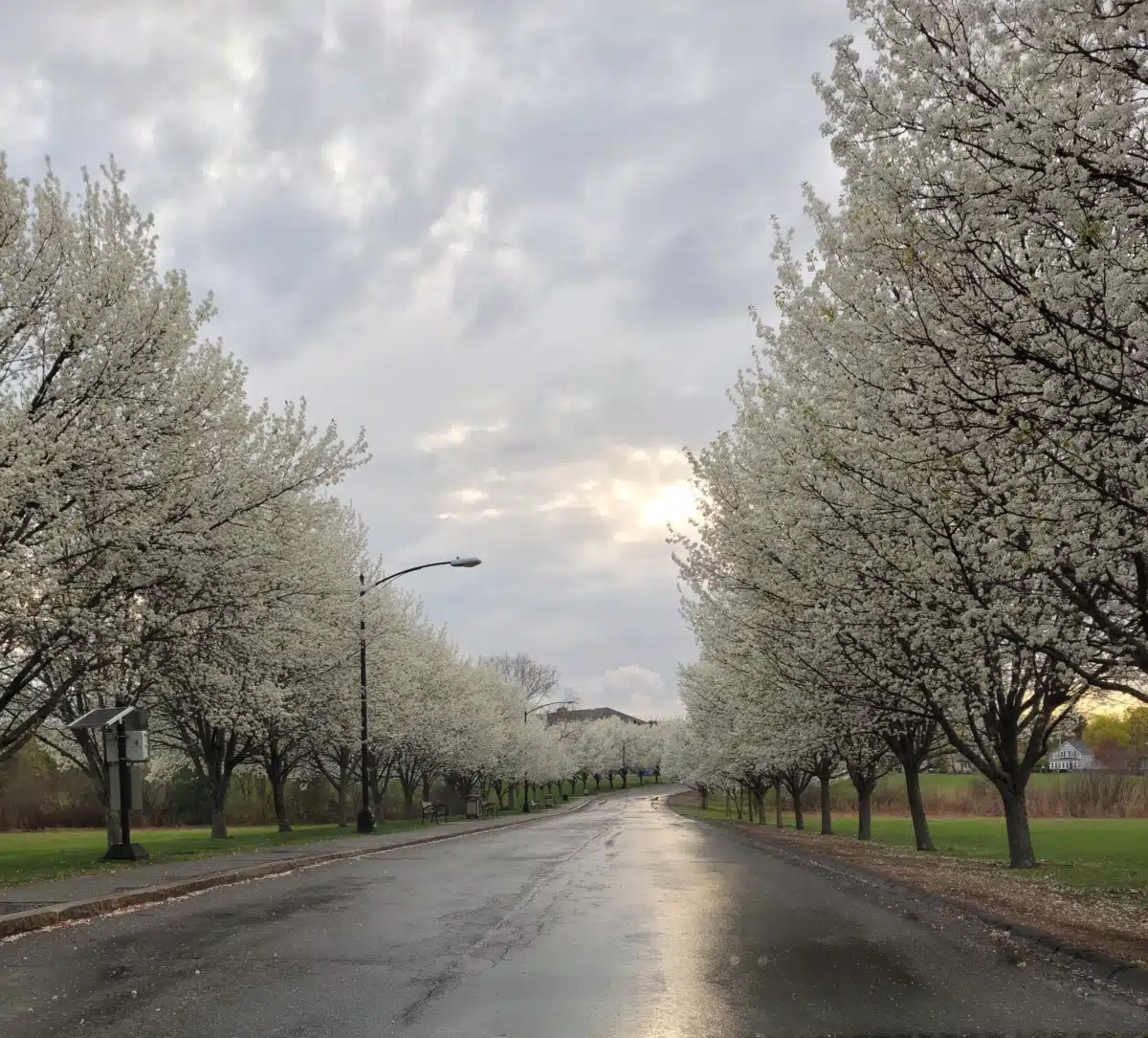 Conexiones - Thumbnail 2