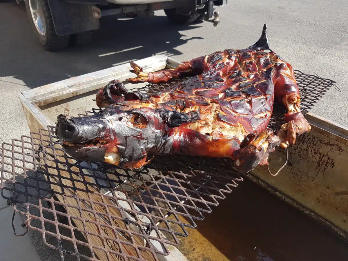 Copper River Native Association - Thumbnail 2