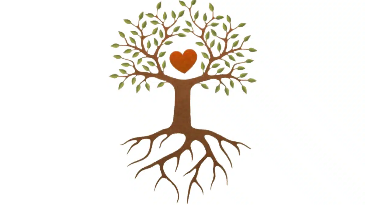 Coshocton Cnty Drug/Alc Council Inc - Thumbnail 2