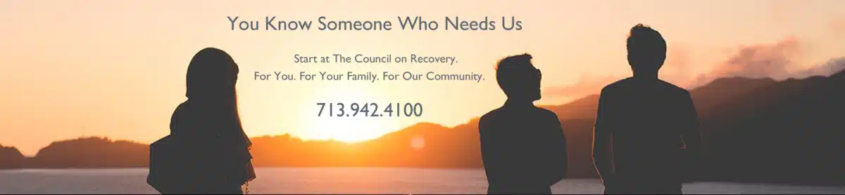 Council on Recovery - Thumbnail 10