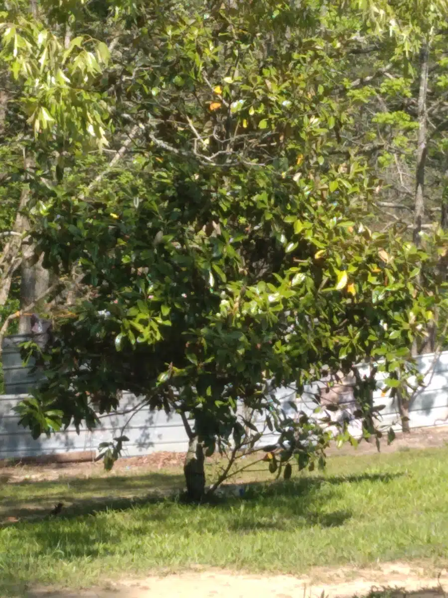 Crossroads of Harriman - Thumbnail 5