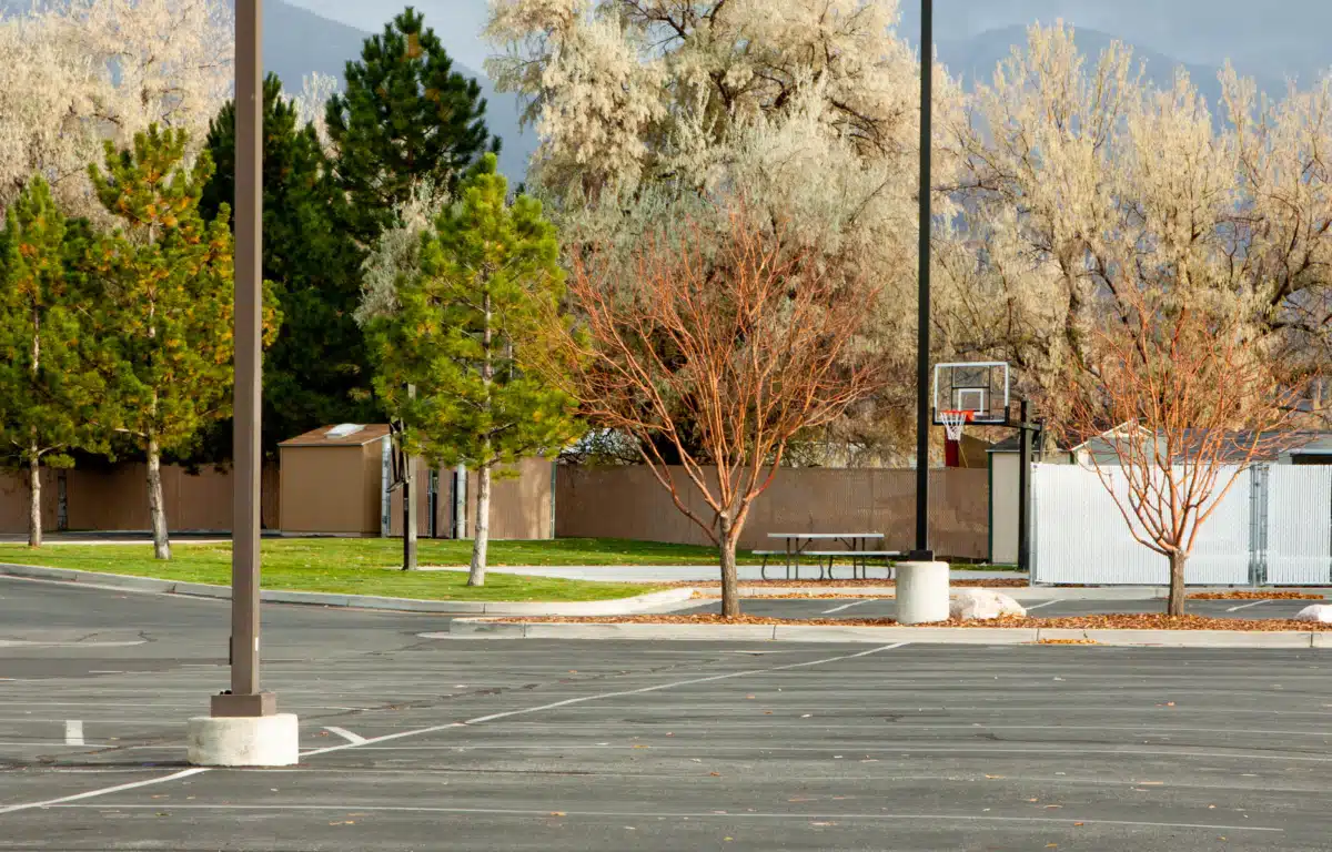 Davis Behavioral Health Inc - Thumbnail 6