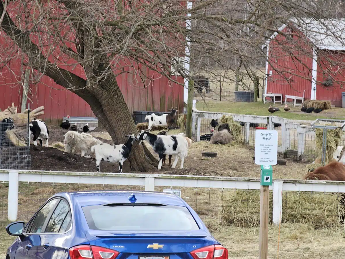 Dawn Inc - Thumbnail 5