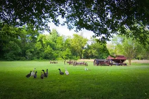 Dawn Inc - Thumbnail 6