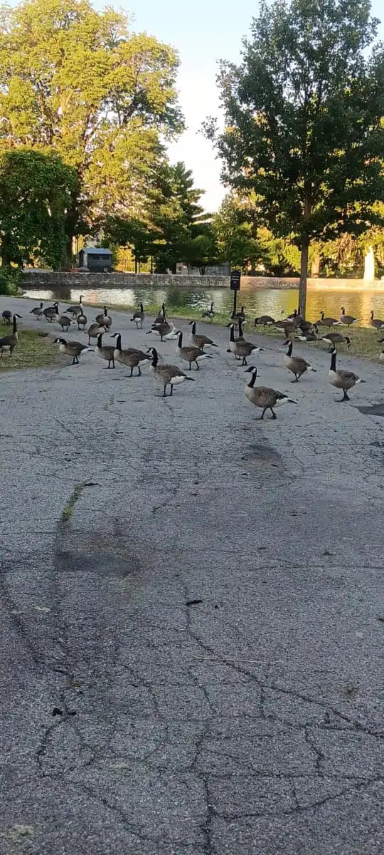 Dayton VA Medical Center - Thumbnail 7