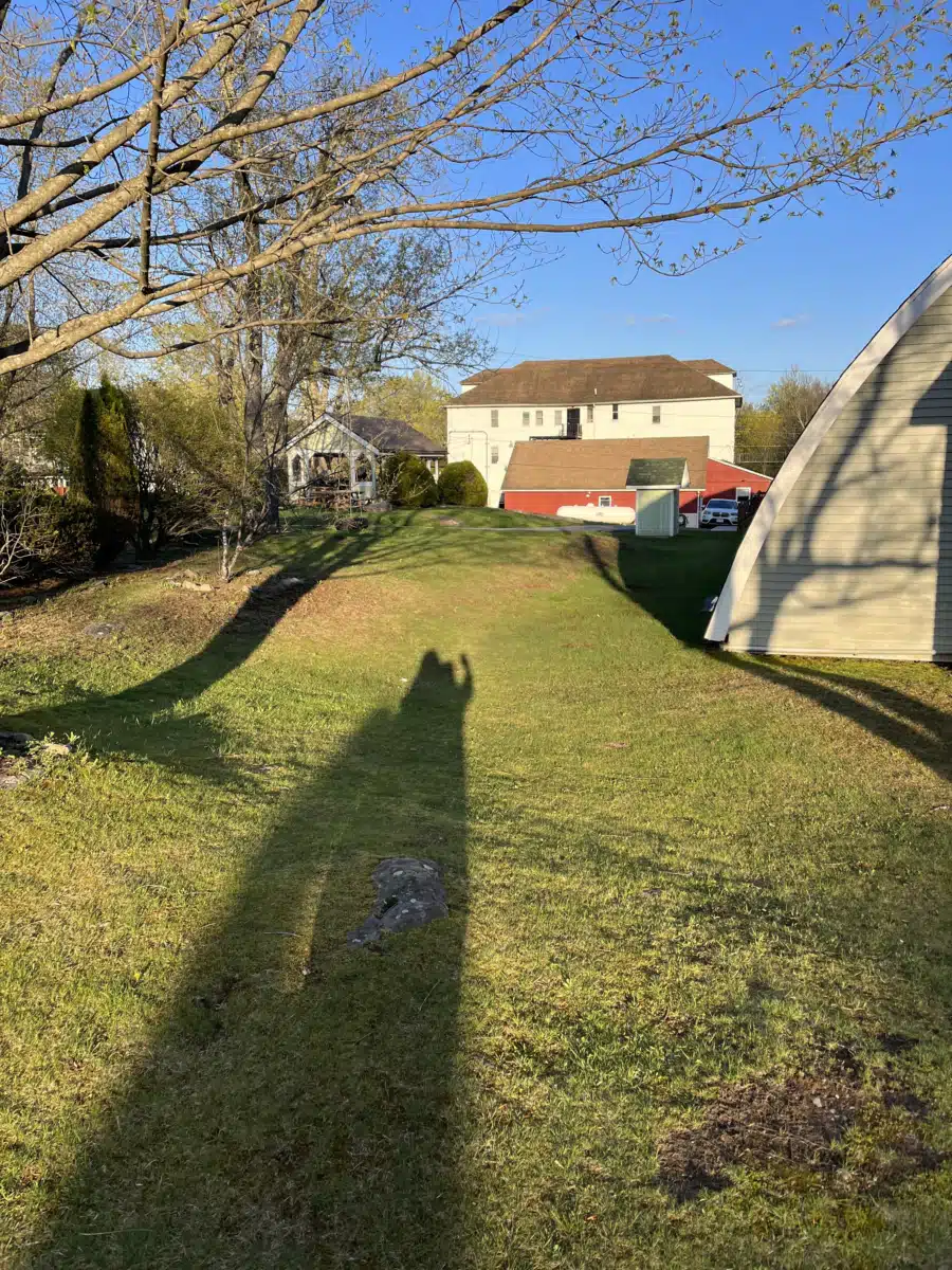 Dynamic Youth Community Inc - Thumbnail 8