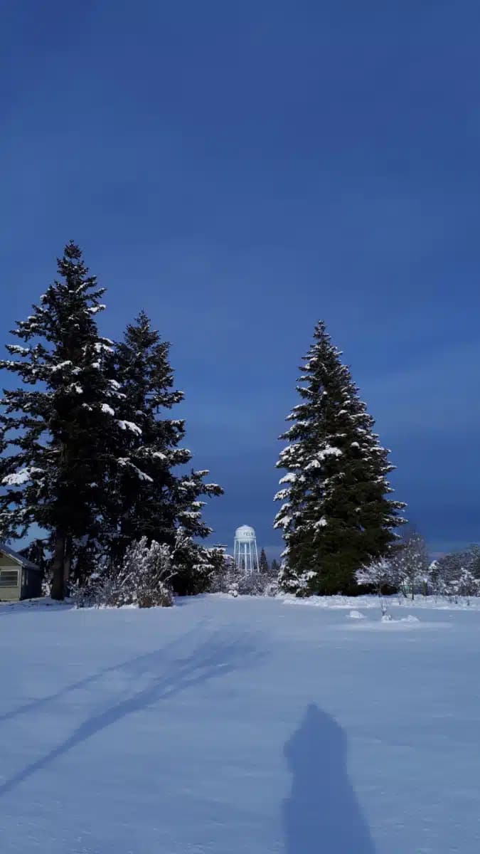 ESD113/True North Student Assistance - Thumbnail 5