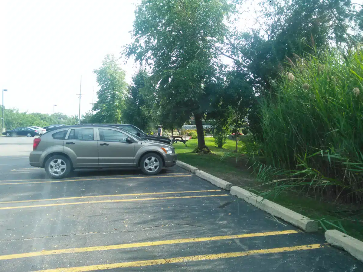 Easter Seals Michigan - Thumbnail 3