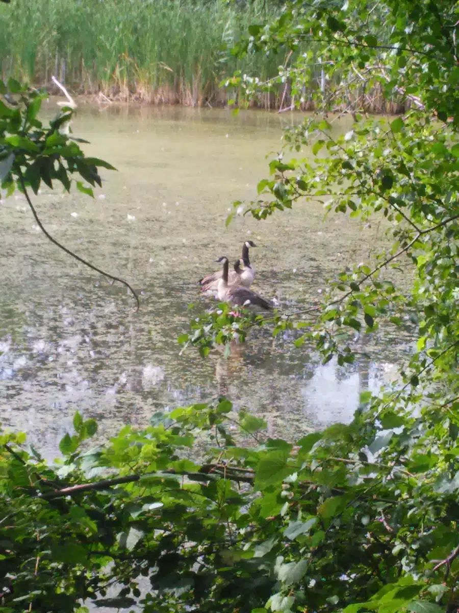 Easter Seals Michigan - Thumbnail 4