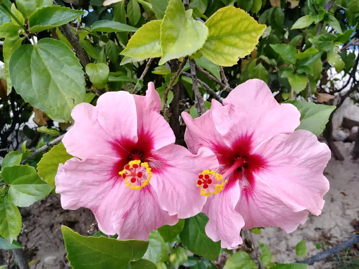 Easterseals Blake Foundation - Thumbnail 2