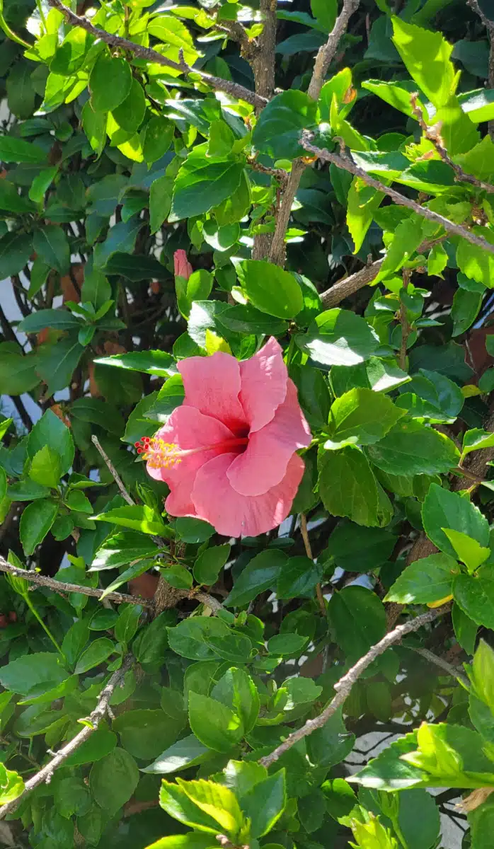 Easterseals Blake Foundation - Thumbnail 6