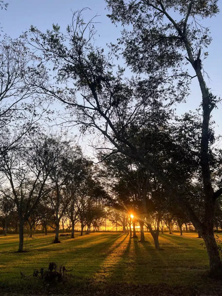 Edgefield Recovery Center - Thumbnail 2