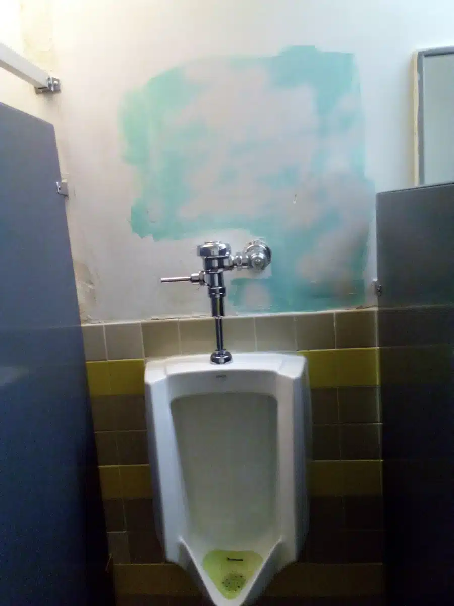 Elmcor Youth and Adult Activities Inc - Thumbnail 3