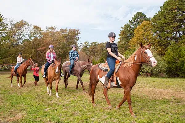 Enlightened Solutions LLC - Thumbnail 5