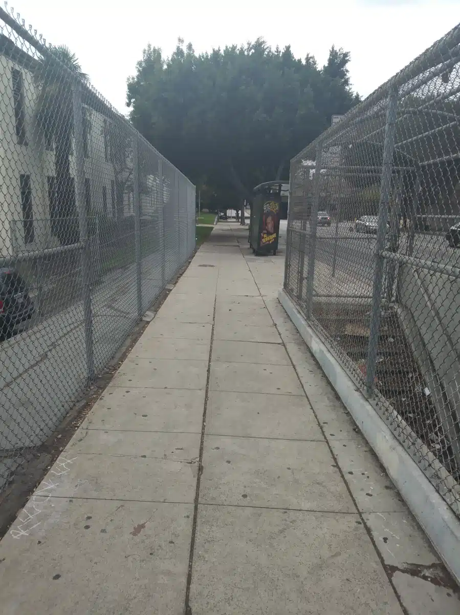 Escuela Latina - Thumbnail 5