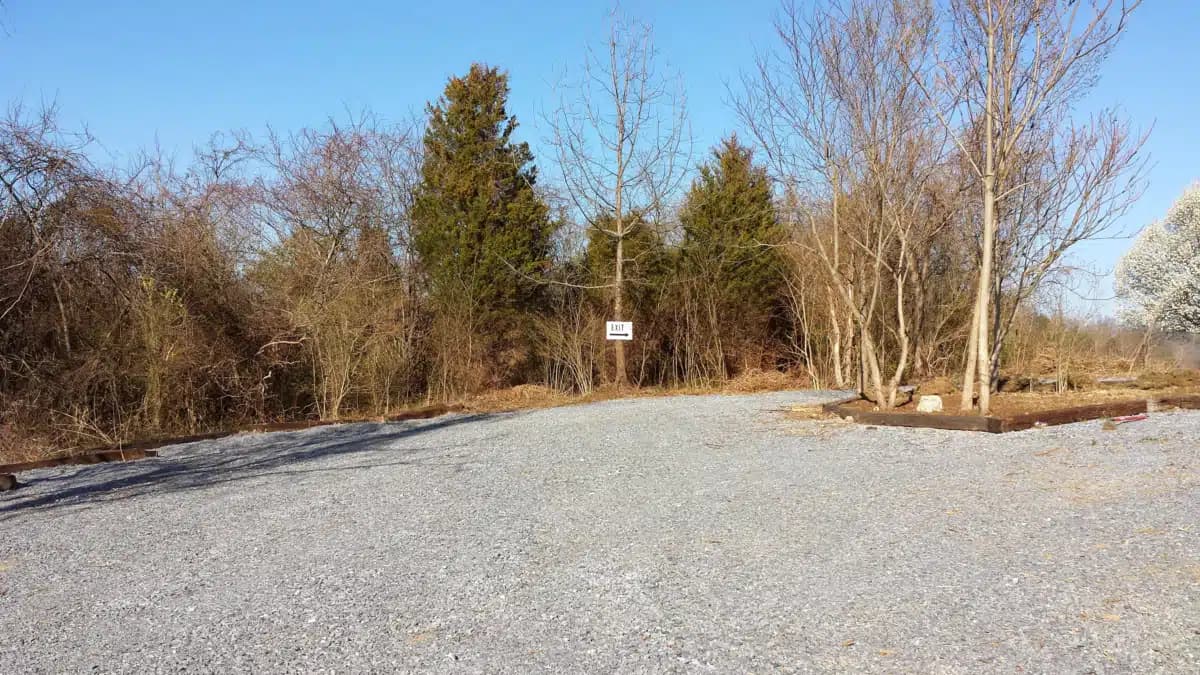 Evidence Based Addiction Medicine - Thumbnail 8