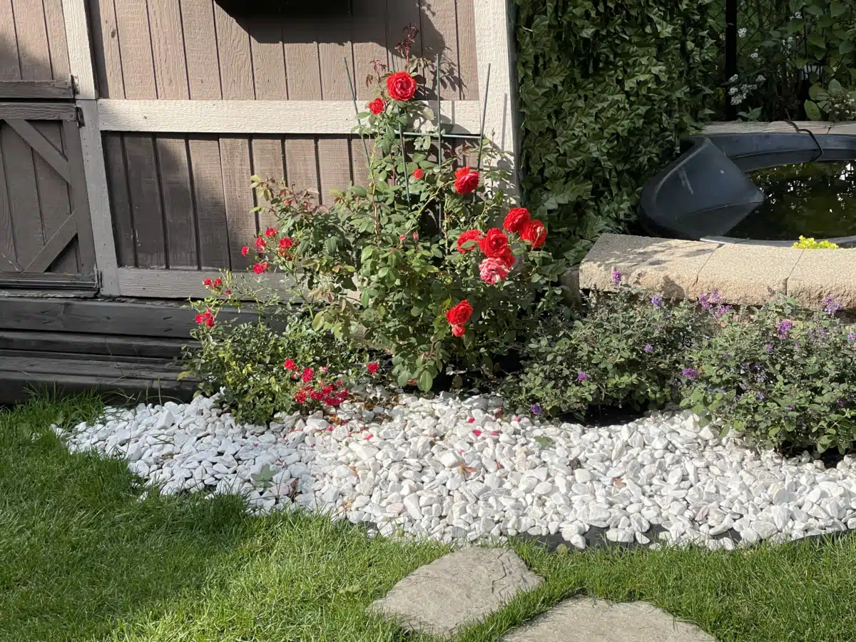 Evoke Wellness LLC - Thumbnail 9