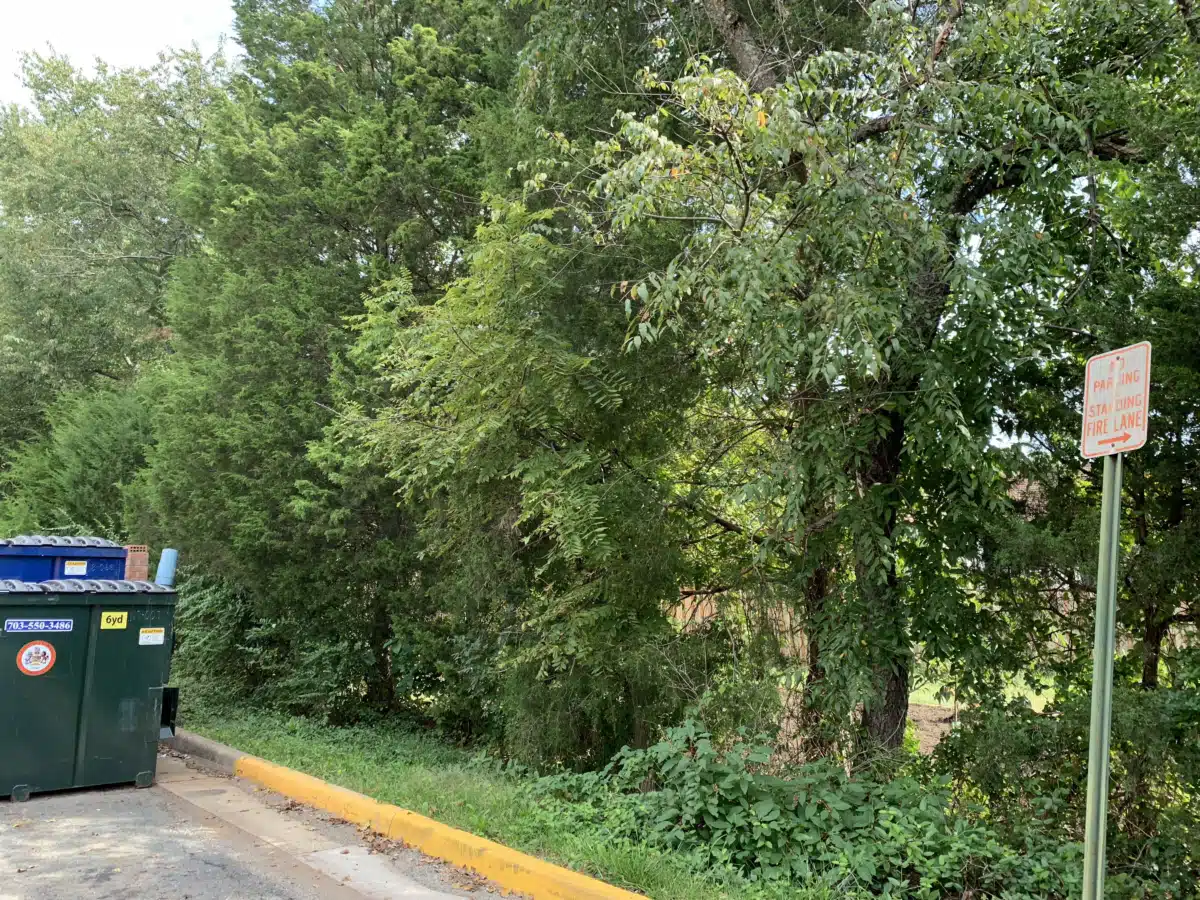 Fairfax/Falls Church Comm Servs Board - Thumbnail 3