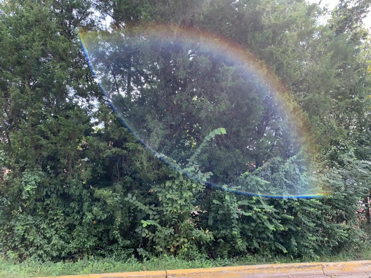 Fairfax/Falls Church Comm Servs Board - Thumbnail 5