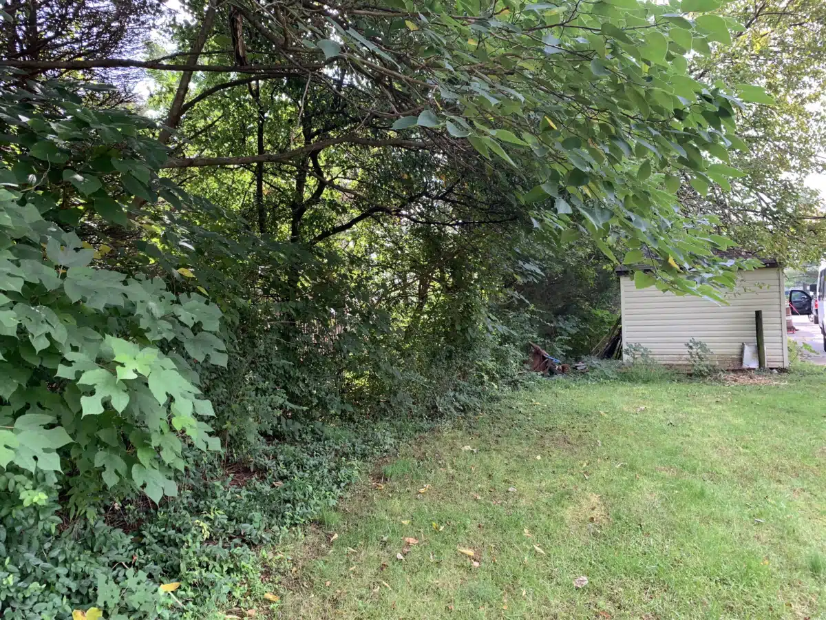 Fairfax/Falls Church Comm Servs Board - Thumbnail 9