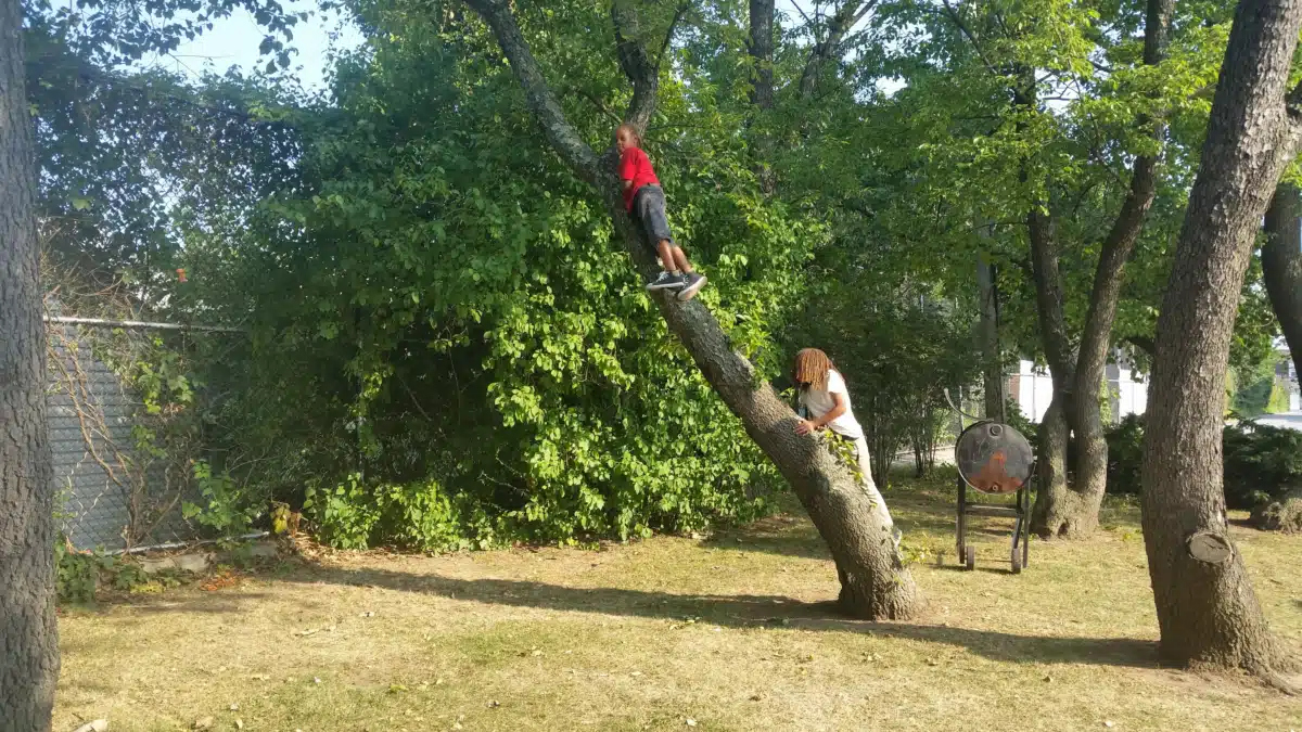 Five Towns CC/CODA - Thumbnail 8