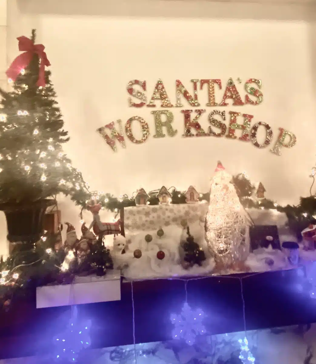 Flying HIGH Inc - Thumbnail 9