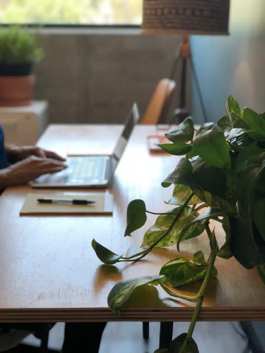 Forward Wellness Family Therapy Inc - Thumbnail 4